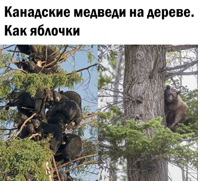 Так себе картинки 26.03.22