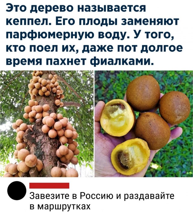 Так себе картинки 01.04.22
