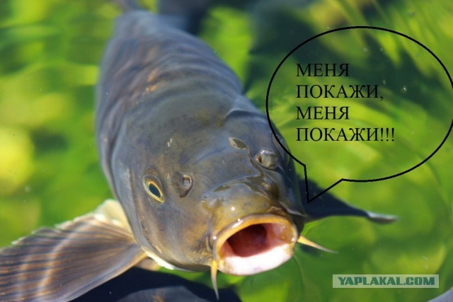 Керженец. Рыбными тропами