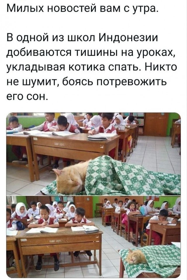 Мой красавец