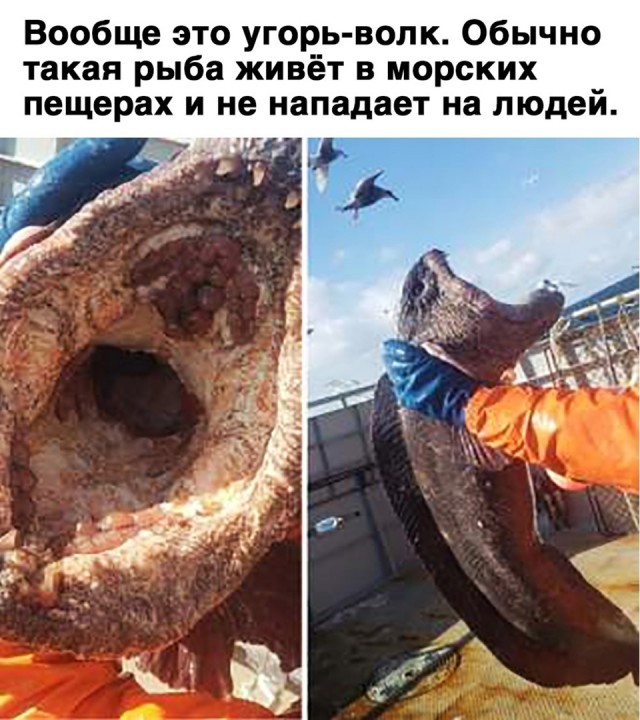 Так себе картинки 10.06.22