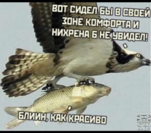 Секрет гармоничных отношений с женщиной.