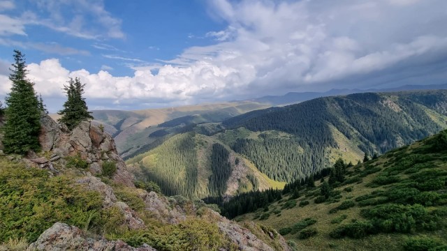 Кулинарная общалка