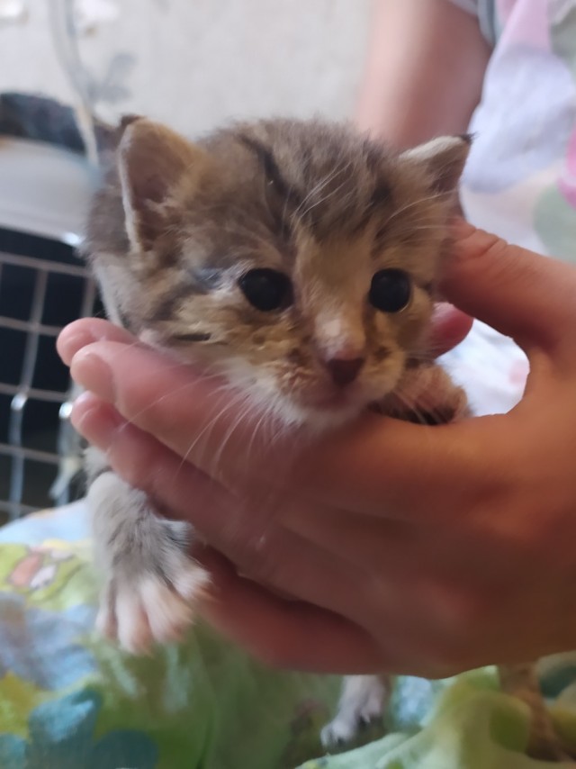 КотоФторник 23.08.22
