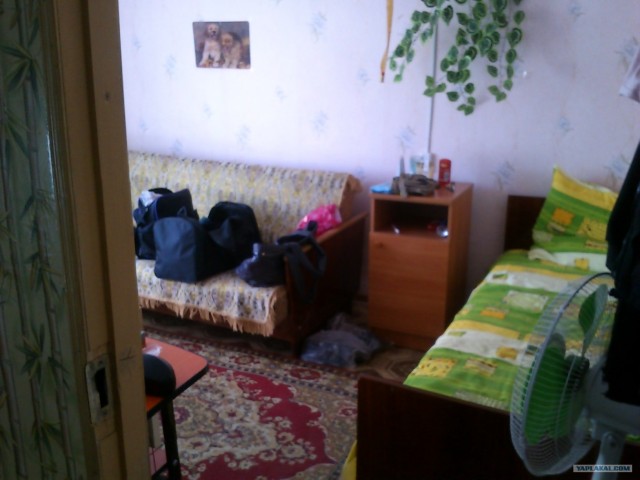 Отдохнули мы в Крыму....в гараже.