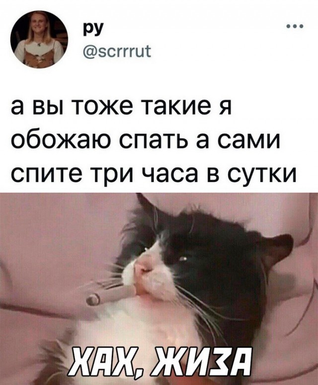 Скриншоты и комментарии из социальных сетей 16.09.22