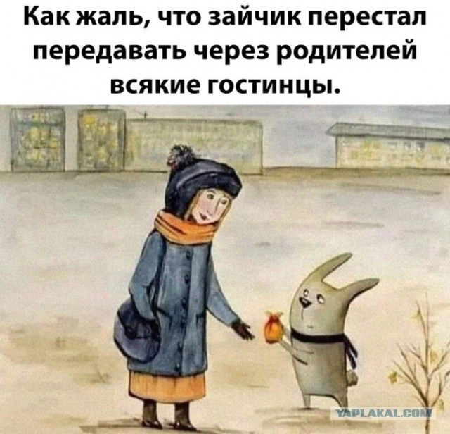 Посылки от зайчика. "Когда все ещё были живы"