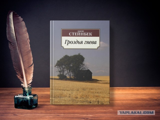 Что почитать: 5 культовых остро-социальных американских романов
