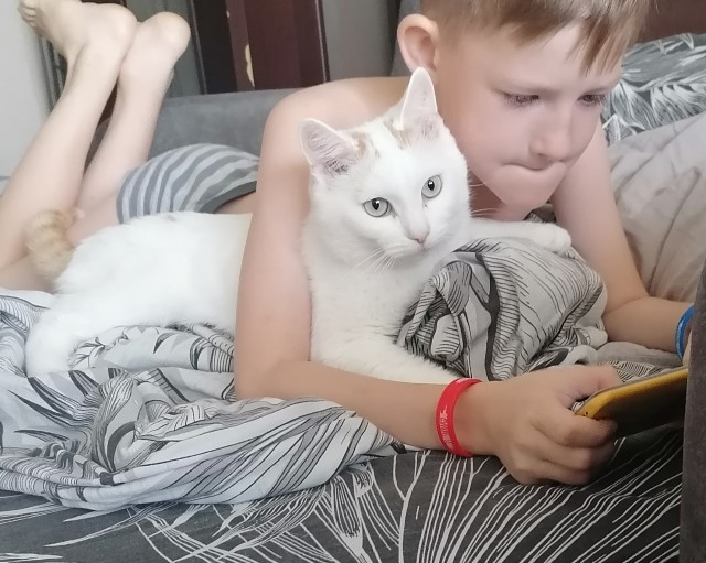 Даёшь котов в этот вторник!