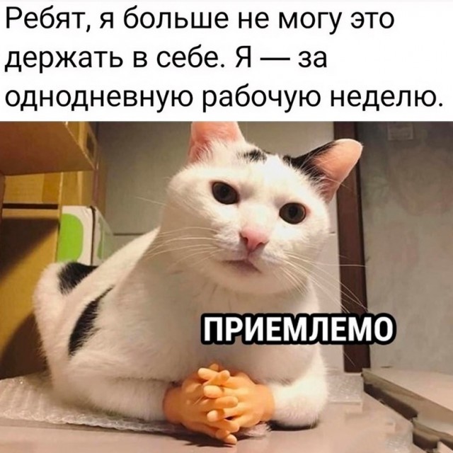 Картинки и мемы, всем хороших выходных