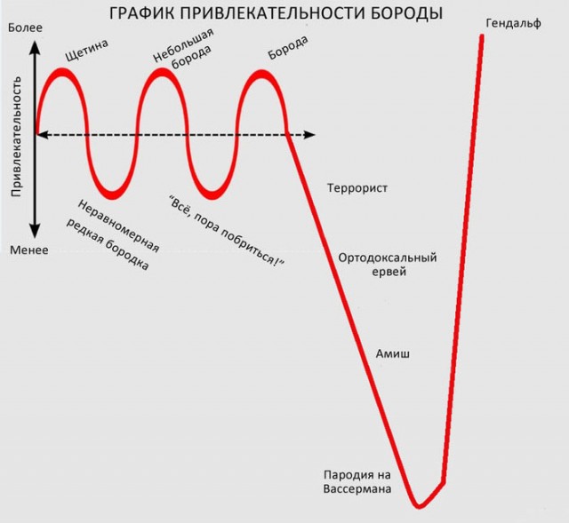 График привлекательности бороды