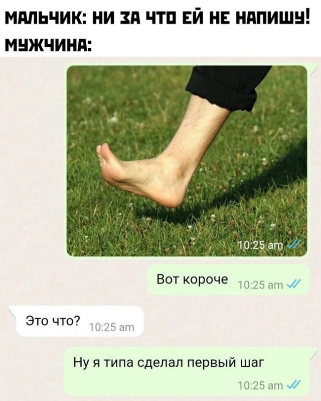 Весёлый полтишок 01.11.23