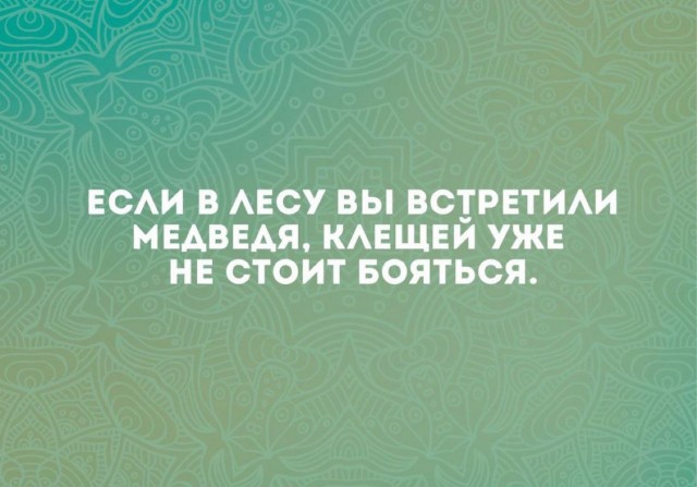 Немного забавных картинок