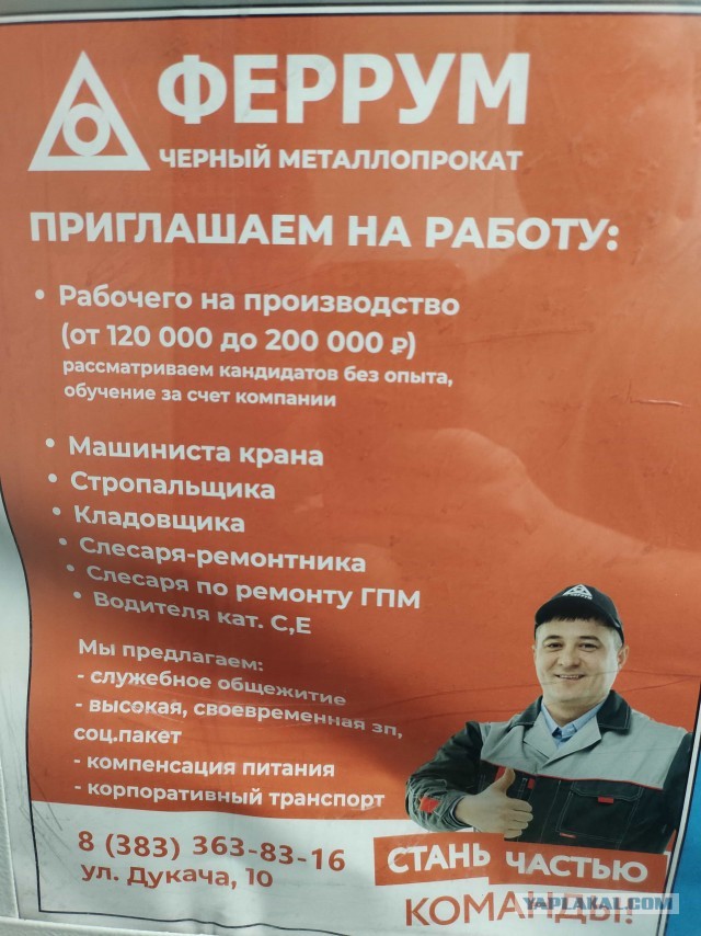 Названы профессии с самыми низкими зарплатами в России