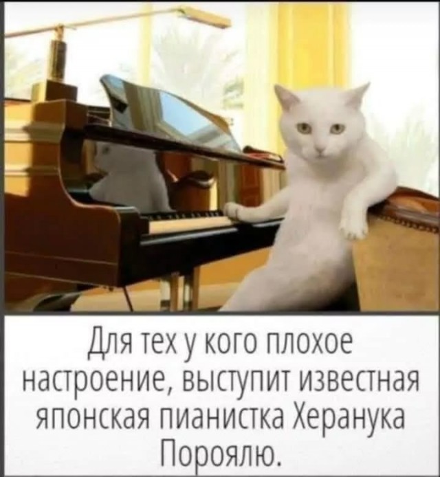 Завалялось тут случайно немного забавных картинок