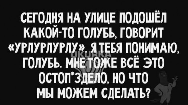 Маленькая пятница 12.02.25