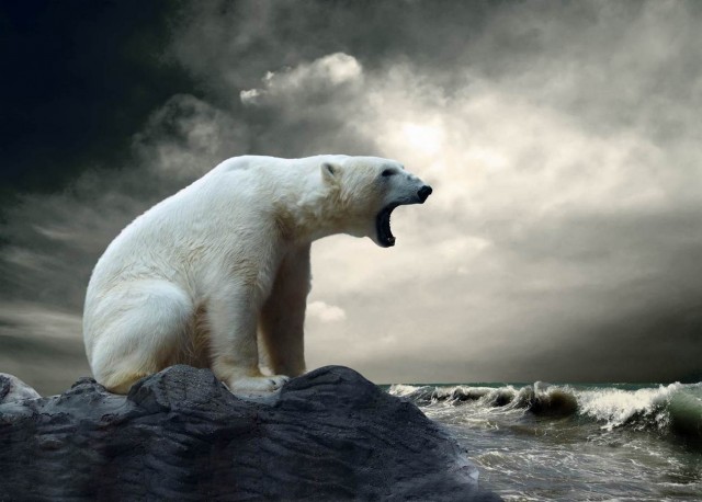 Правое дело