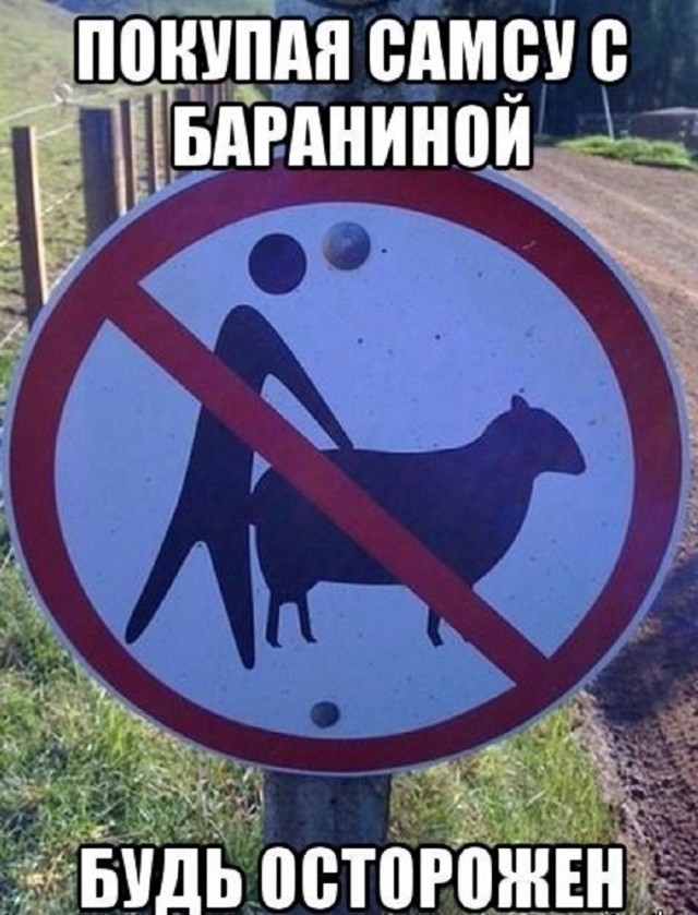 Так себе картинки 01.06.25