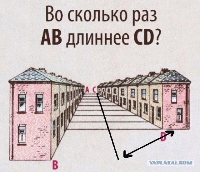 Так себе картинки 10.06.25