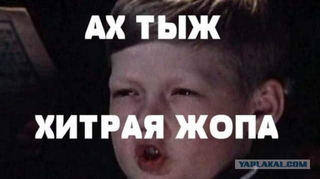 Нашествие комаров и мошкары ожидает Москву уже в эти выходные
