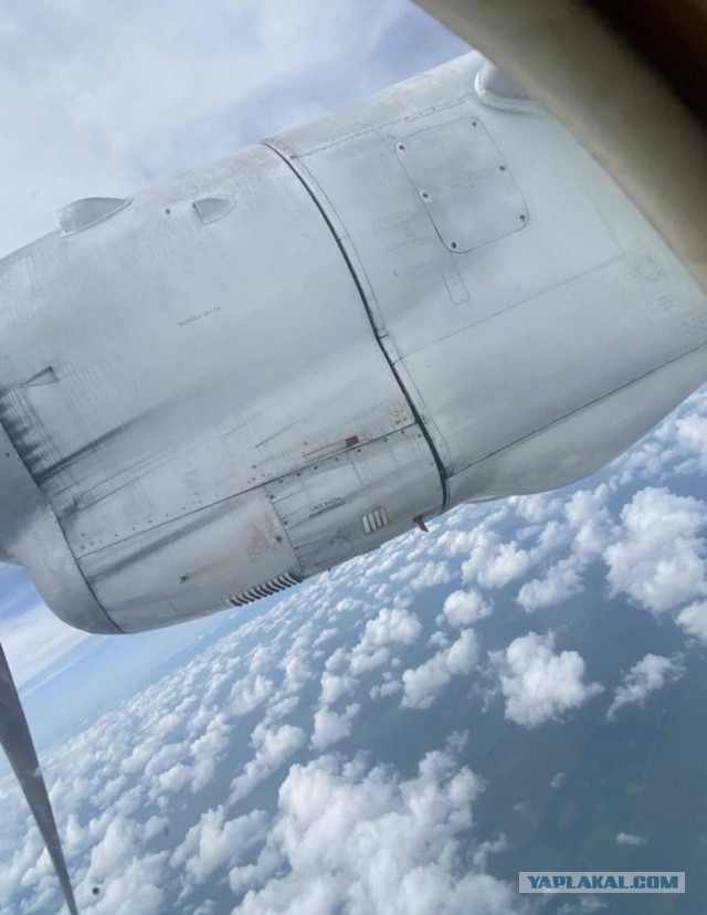 Ан-24 с людьми на борту разбился в Амурской области (информация дополняется)