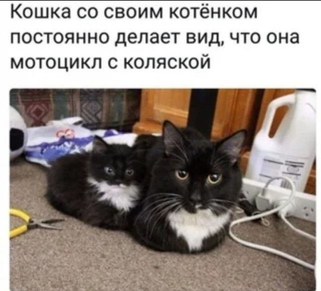 Видимо пришло время....