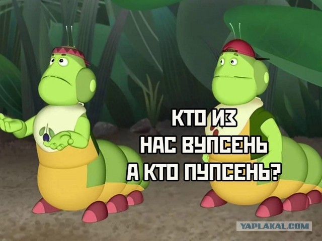 Помогли ящерице