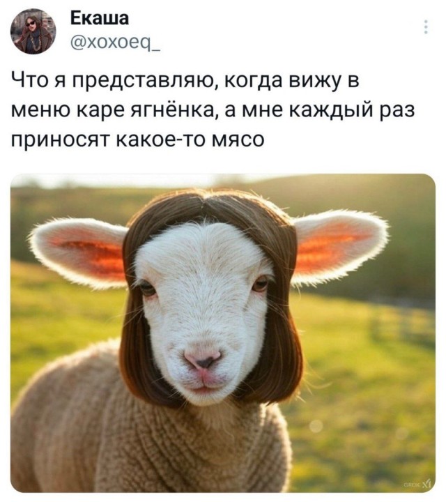 Веселые картинки в маленькую пятницу (24.09)