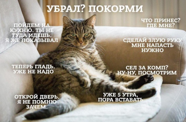 Смешнявых и не очень картинков пост