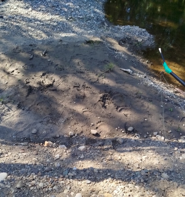 Ну понял я, понял, жадины