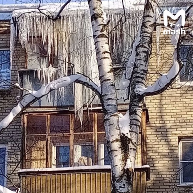 Настоящий ледниковый апокалипсис нагрянул в Подмосковье.