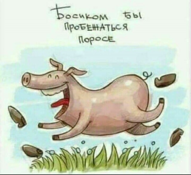 Тема дня