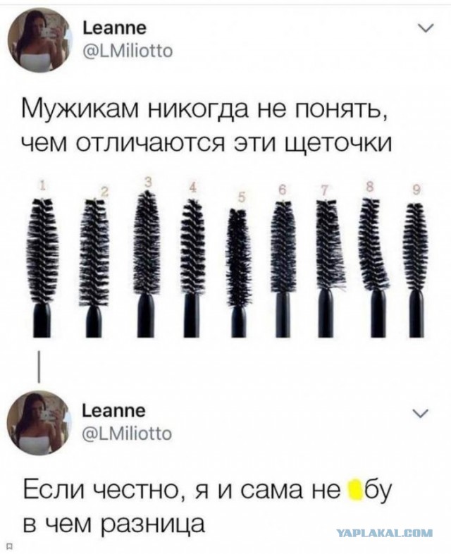 Веселые картинки в понедельник (который вторник) (10.03)