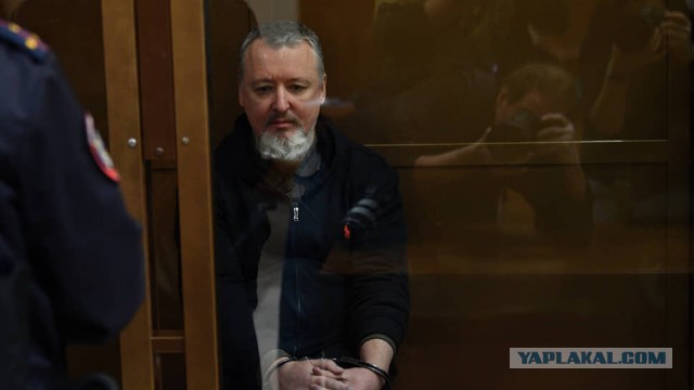 Появилось видео из Новоключей Купинского района Новосибирской области, где уничтожали скот