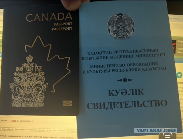 Вброс Кочета про Казахстан или очередные "нацисты" казахи