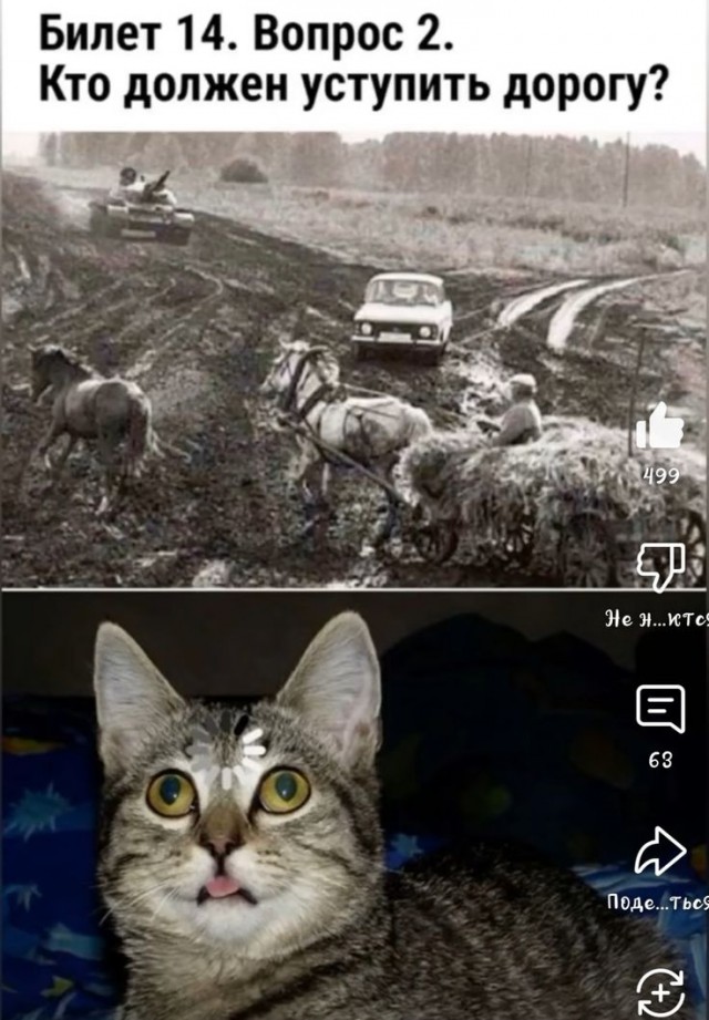 Немного картинок на ночь