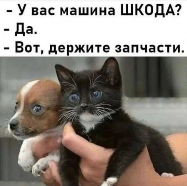 Забавные картинки, шутки из этих ваших интернетов