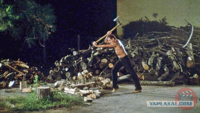 Искать свою любовь нужно не на сайтах знакомств, а на субботниках, заявили в Госдуме