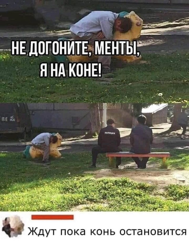 Среды картинки