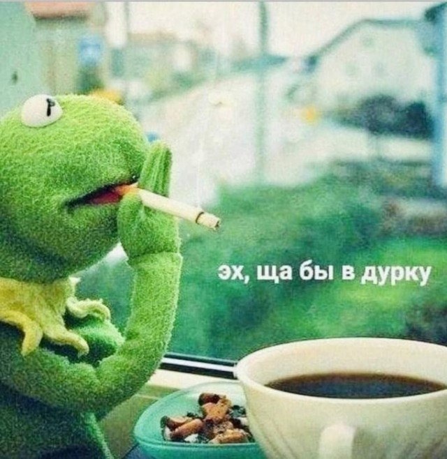 Картинки для деградации 203  (разной степени свежести)