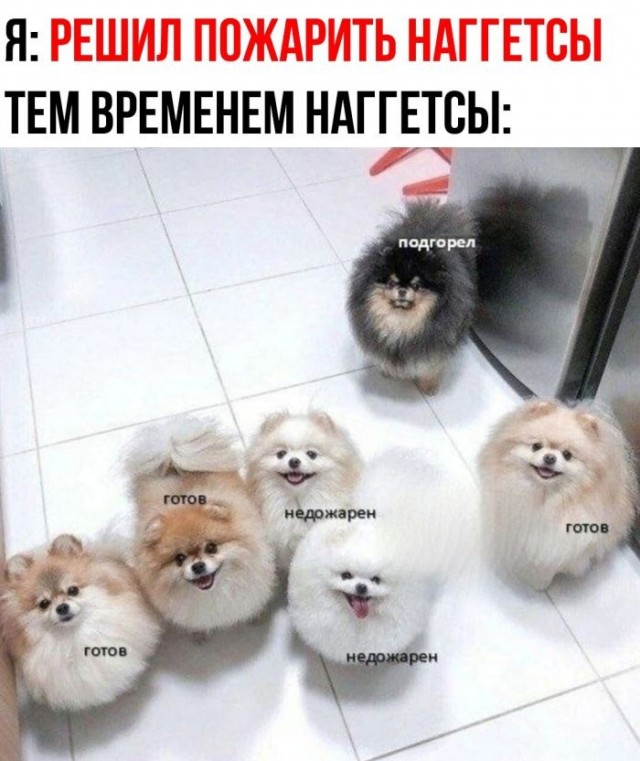 Веселые картинки в понедельник (08.06)