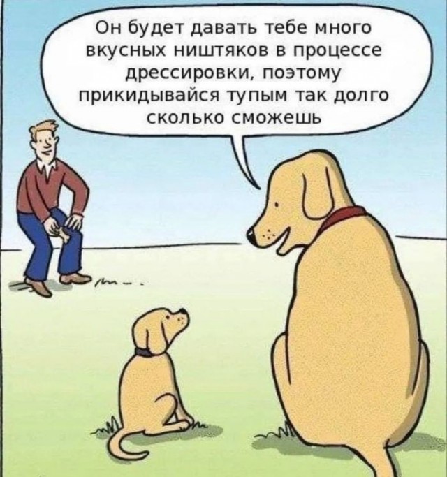 Картинки для деградации 234 (разной степени свежести)