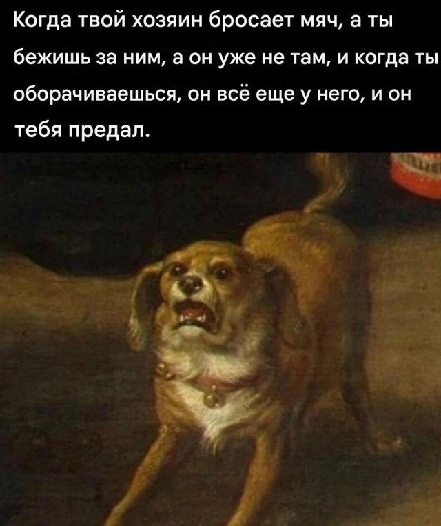 Страдающее средневековье к среде