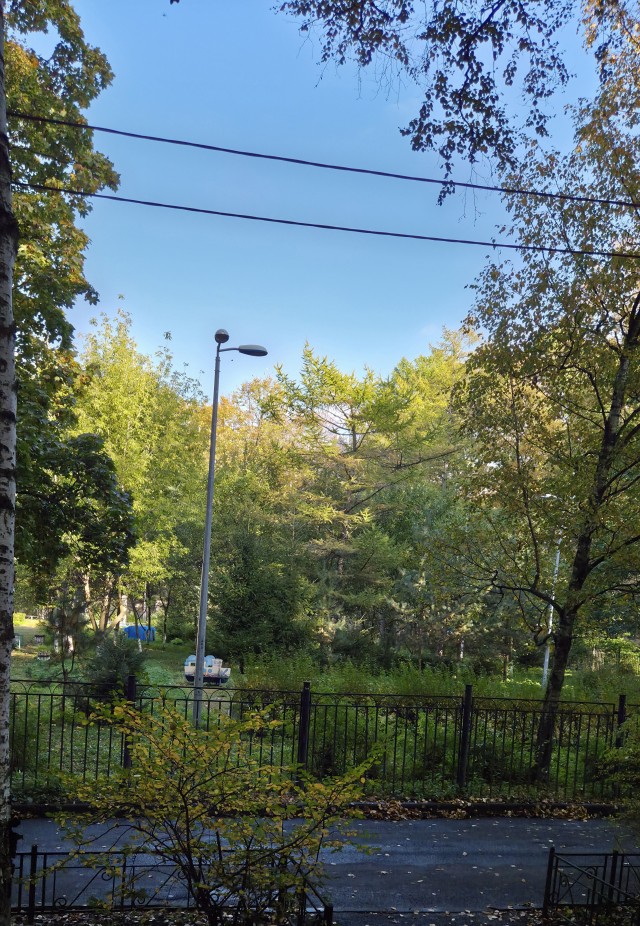 Все краски осени