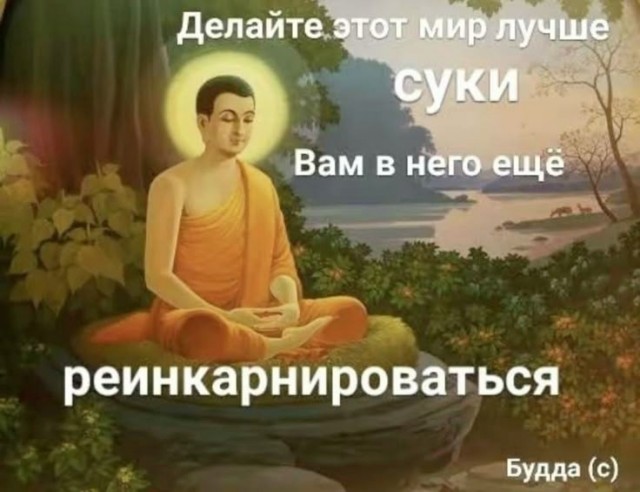 Картинки для деградации 296 (разной степени свежести)