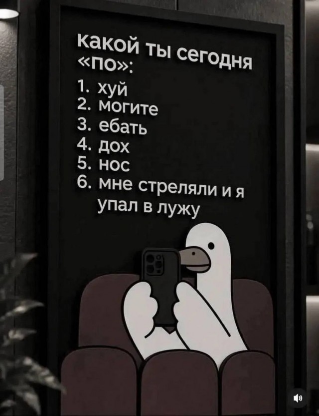 Прикольные и просто красивые картинки 23.10.2026