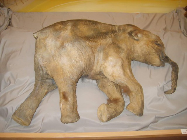 Цивилизованный Ямал