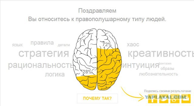 Тест - Левое или Правое.