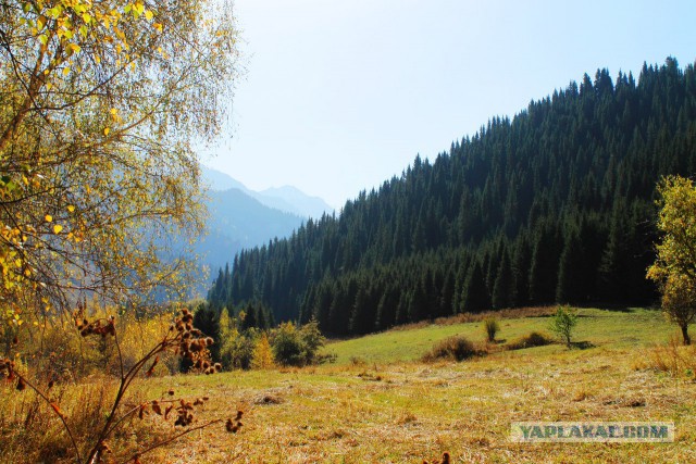 Озеро Каинды - Утонувший лес