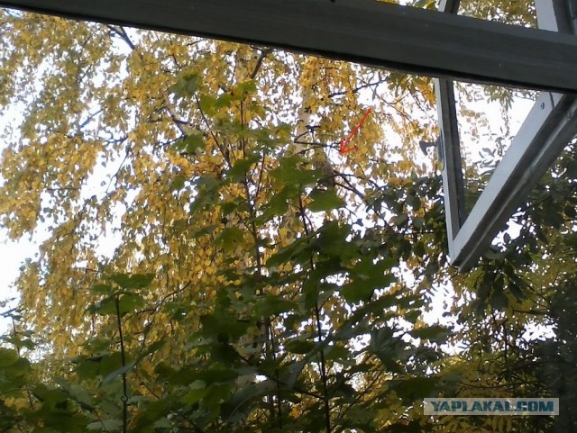 А что у Вас сейчас?